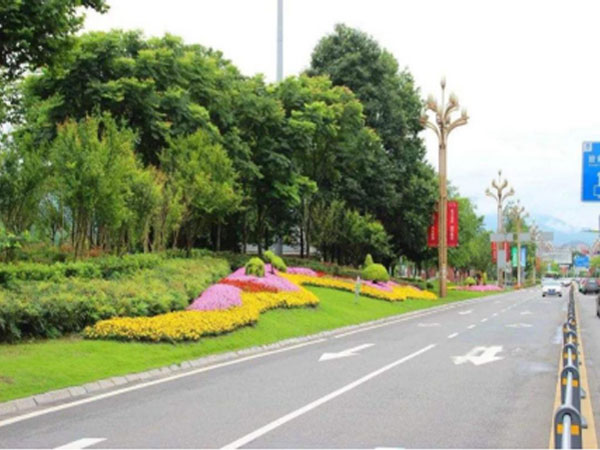 雅安大興片區(qū)城市道路雨城大道三段道路建設(shè)工程